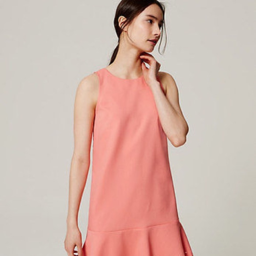 NWT Ann taylor LOFT Peony floral laser cut dress sz 10